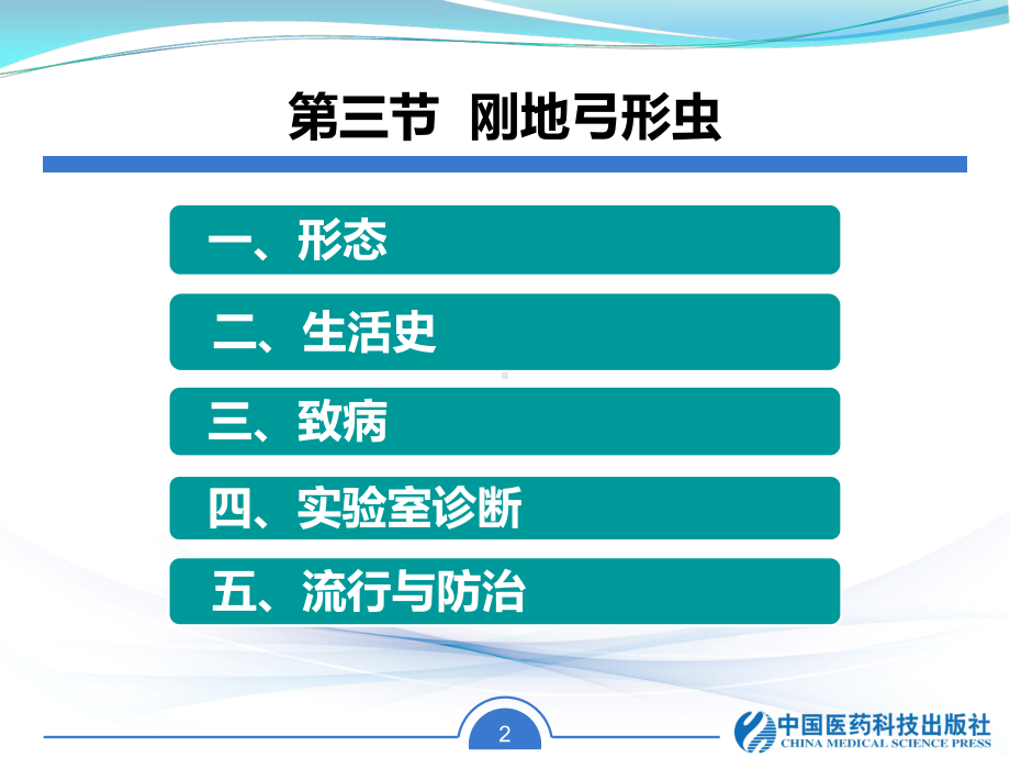 弓形虫滋养体课件.ppt_第2页