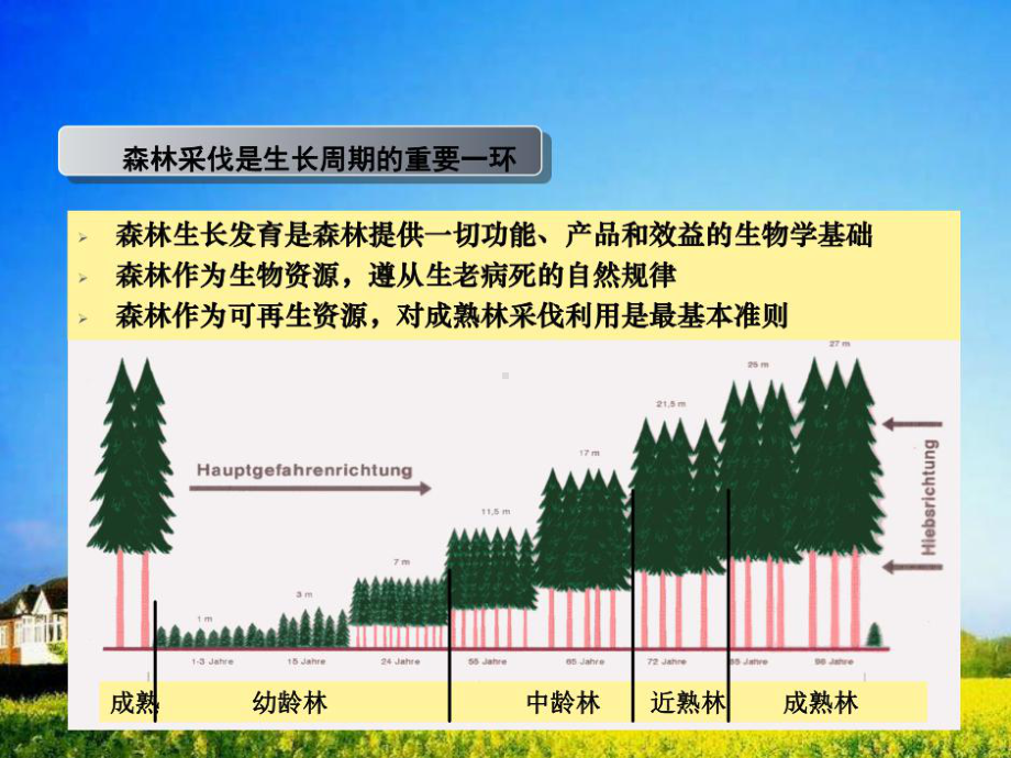 林木采伐管理讲座32页PPT课件.ppt_第3页