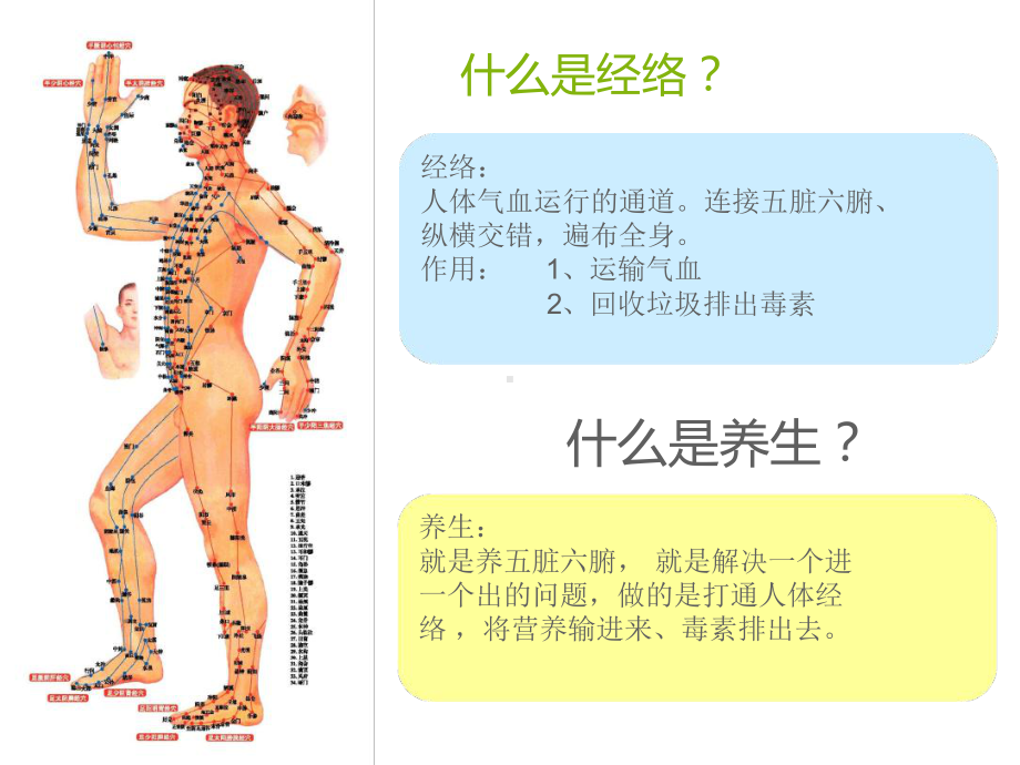 养生大讲堂十二经络养生课件.ppt_第3页