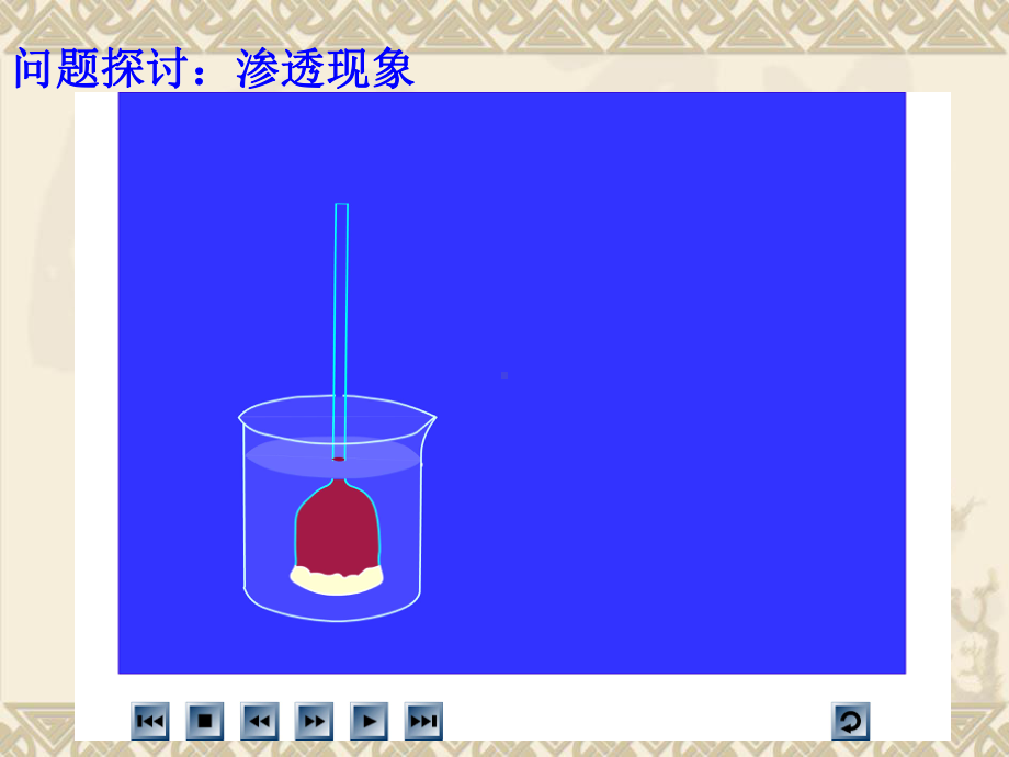 细胞的物质输入和输出课件.ppt_第3页