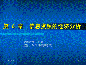 6-信息资源的经济分析(再修改)-31页PPT资料课件.ppt