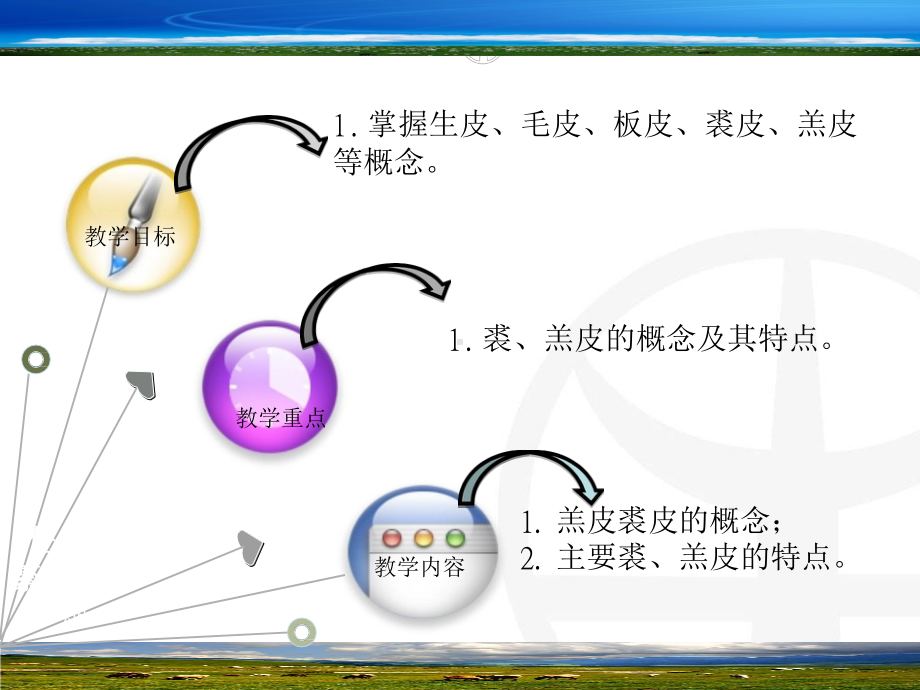 项目八主要裘、羔皮及其特点-影响裘羔皮品质的因素课件.pptx_第2页