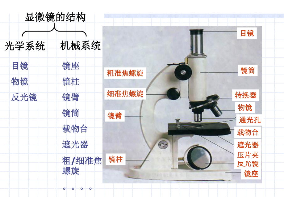 高一生物显微镜的使用课件.pptx_第2页