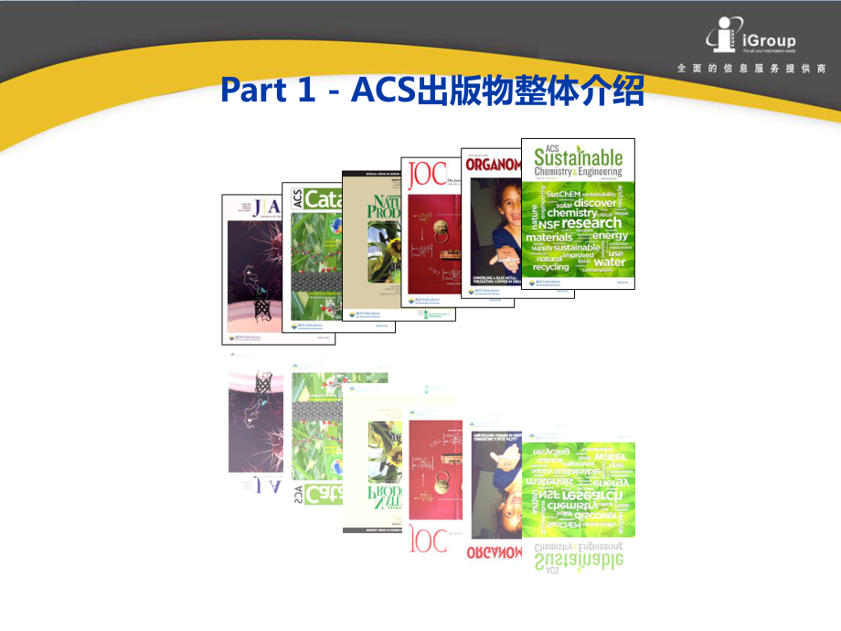 ACS数据库使用指南课件.pptx_第3页