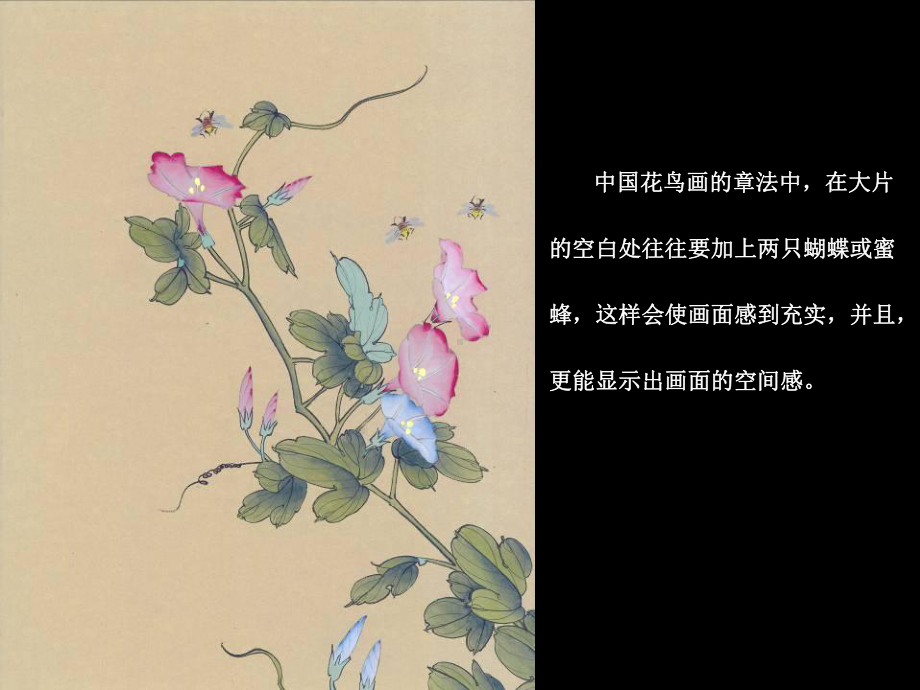 花卉装饰第二章色彩构成课件.ppt_第3页