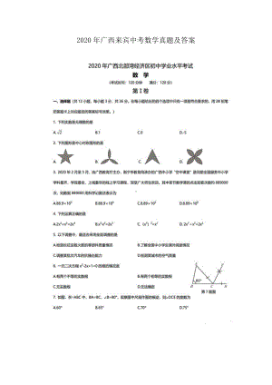 2020年广西来宾中考数学真题及答案.doc