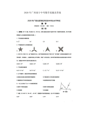 2020年广西南宁中考数学真题及答案.doc