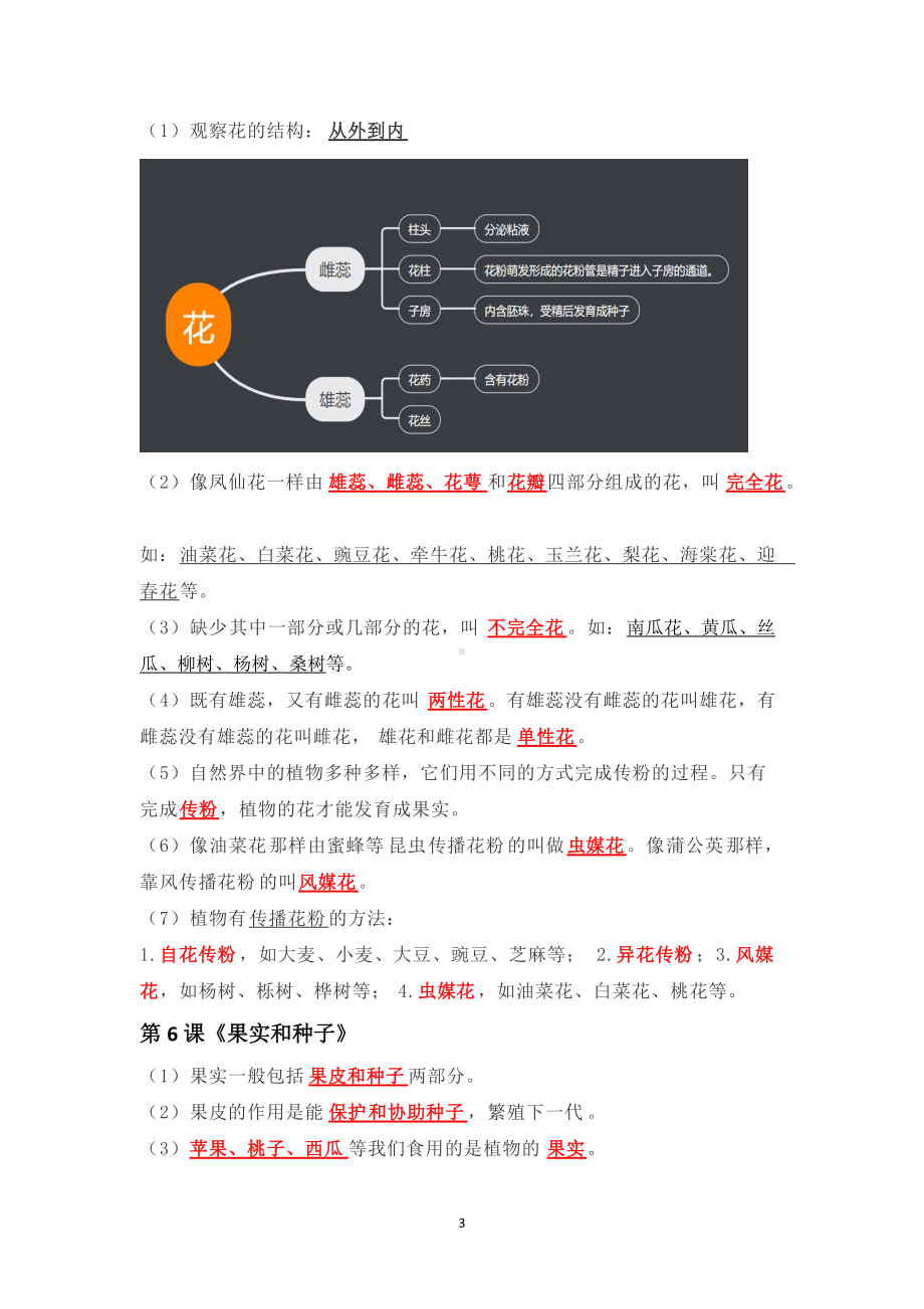 2022年新教科版四年级下册《科学》第一单元《植物的生长变化》摘要整理资料（知识点、实验和练习）.docx_第3页