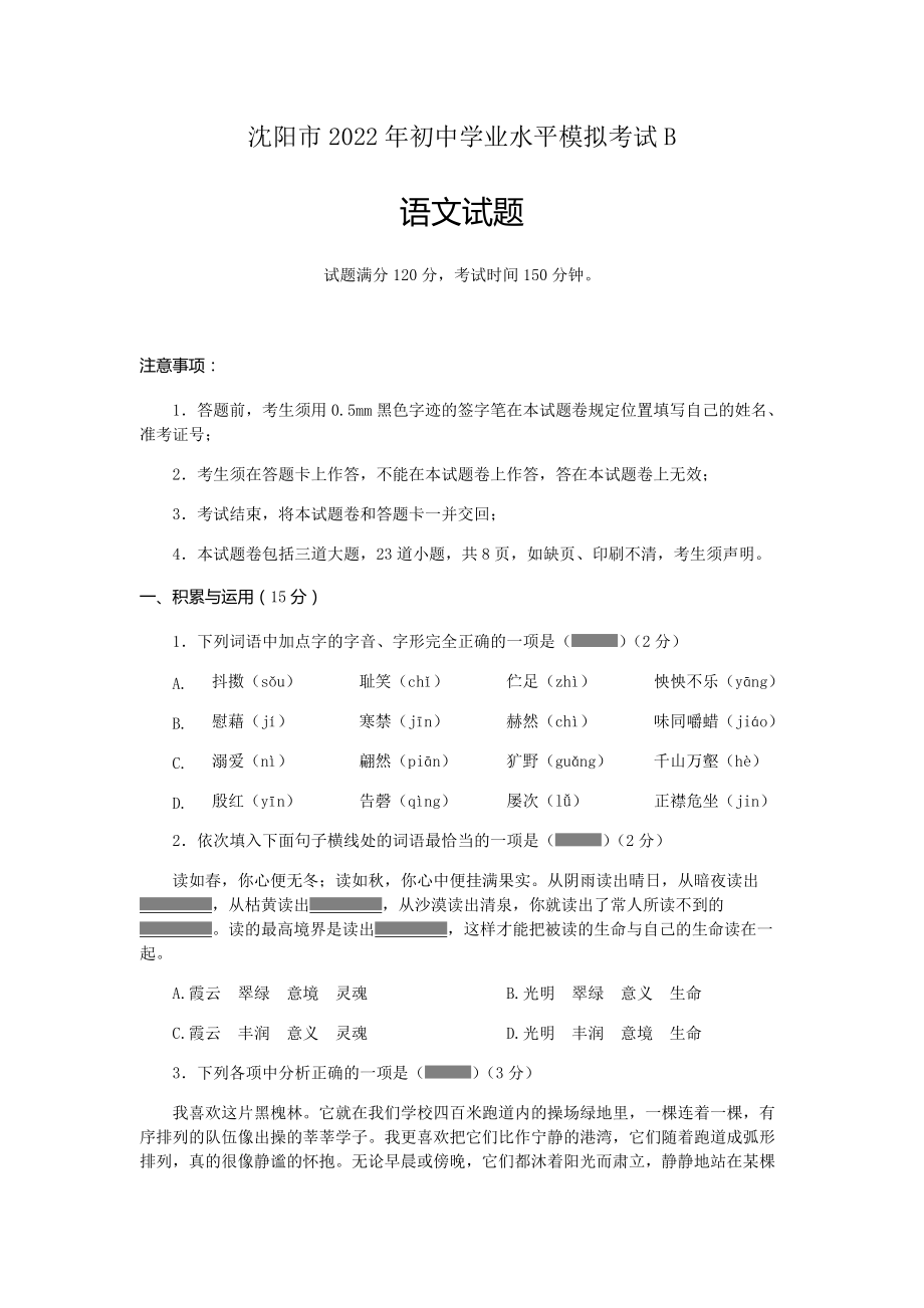 2022年辽宁省沈阳市中考语文冲刺模拟B卷（含答案）.rar