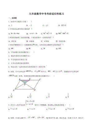 2022年山东省东营市育才 九年级数学中考考前适应性练习 (1).docx