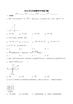 2022年九年级数学中考练习题.docx