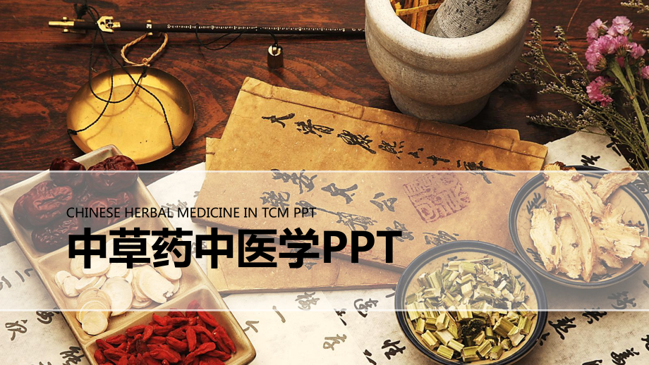 中草药中医学PPT课件.pptx_第1页