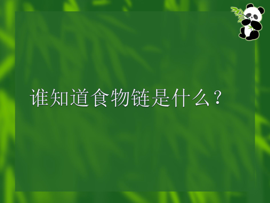 五年级上册科学课件 -1.5 食物链和食物网-奇妙的食物链｜教科版(共29张PPT).ppt_第2页