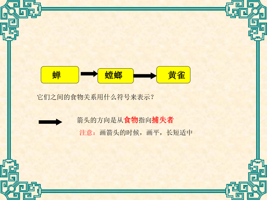 五年级上册科学课件 -1.5 食物链和食物网｜教科版 (共10张PPT).ppt_第2页