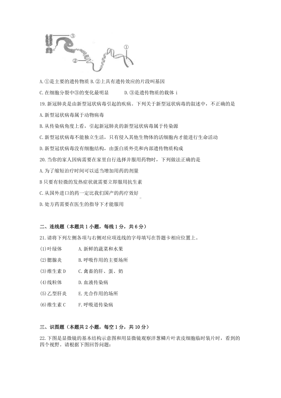 2022年辽宁省沈阳市八年级生物中考最后十套模拟测试题（二）.docx_第3页