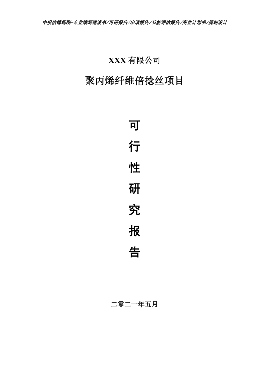 聚丙烯纤维倍捻丝可行性研究报告建议书案例.doc_第1页