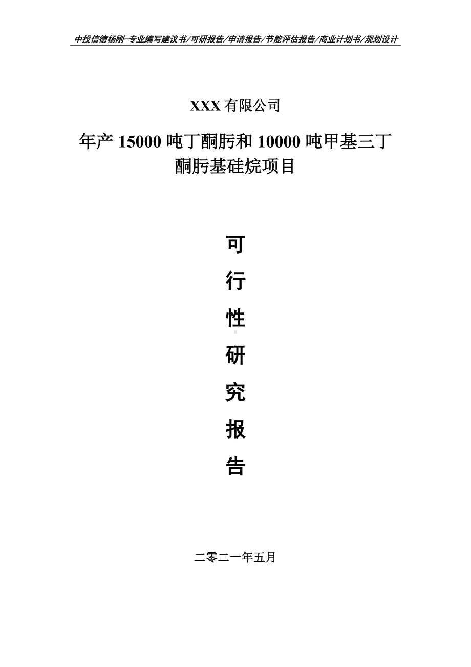 丁酮肟和甲基三丁酮肟基硅烷项目申请报告可行性研究报告.doc_第1页