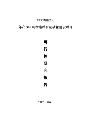 年产300吨树脂结合剂砂轮建设项目可行性研究报告申请报告案例.doc