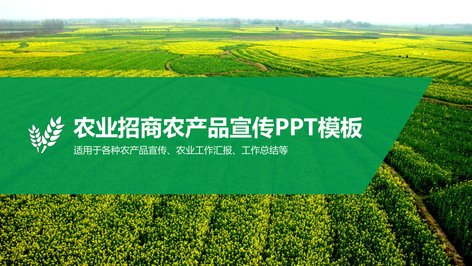 图文现代农业发展新模式介绍农业招商农产品宣传PPT（内容）课件.pptx_第1页