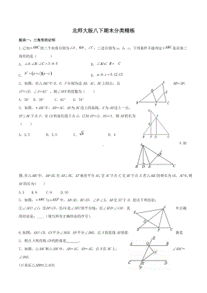 2021-2022学年 北师大版八年级数学下册期末分类精练.docx