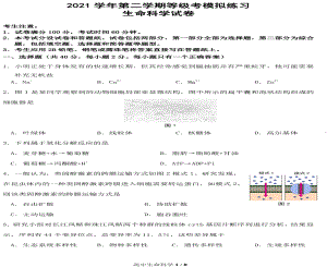 上海市闵行区2022届高三二模生物试题.pdf