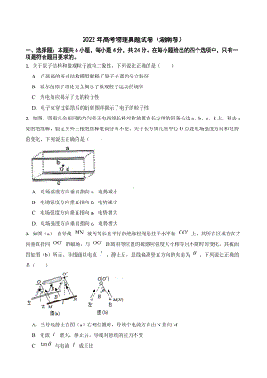 2022年高考物理真题试卷（湖南卷）及答案.docx