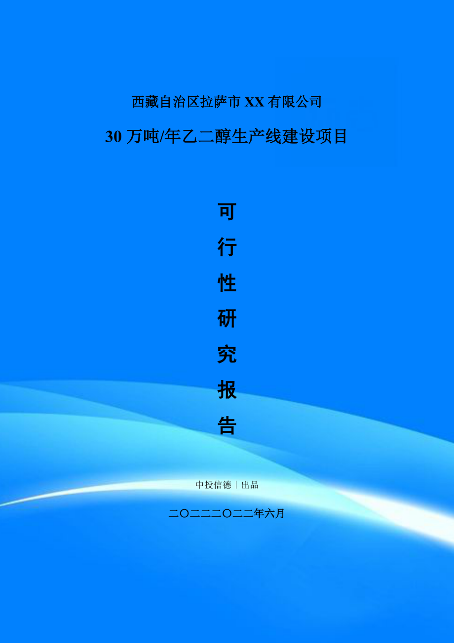 30万吨年乙二醇项目可行性研究报告申请备案建议书.doc_第1页