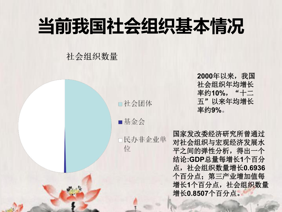 中央财政支持社会组织发展项目基本情况课件.ppt_第3页