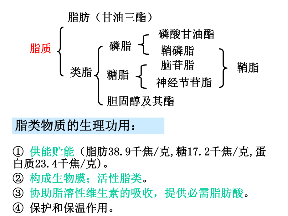 脂肪酸的合成课件.ppt_第3页