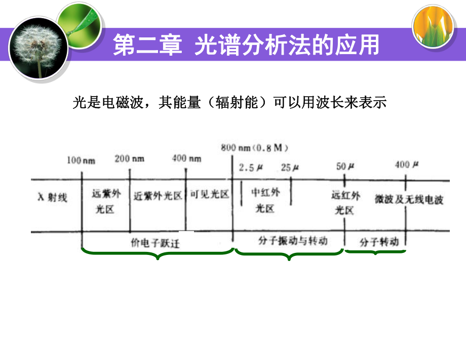 (第二章)药物分析-光谱分析法的应用课件.ppt_第2页