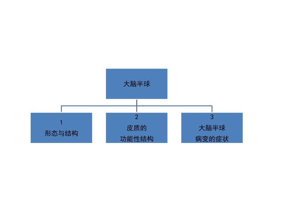 大脑半球介绍课件.pptx_第2页