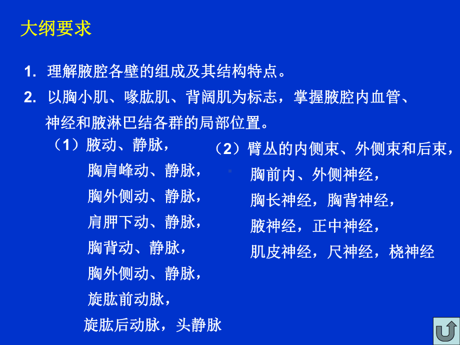 腋窝的构成和内容大纲要求概述表面解剖详细内容课件.ppt_第2页