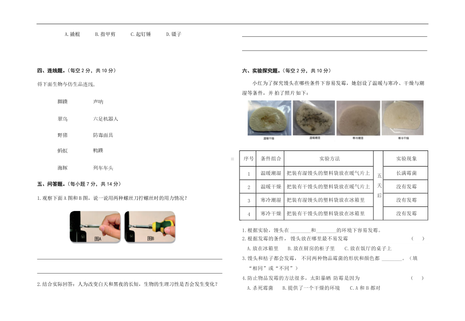 2022新苏教版五年级下册科学末复习模拟试卷八（含答案）.docx_第3页