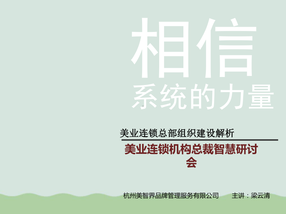 美业连锁总部组织建设解析(PPT-58页)课件.ppt_第1页