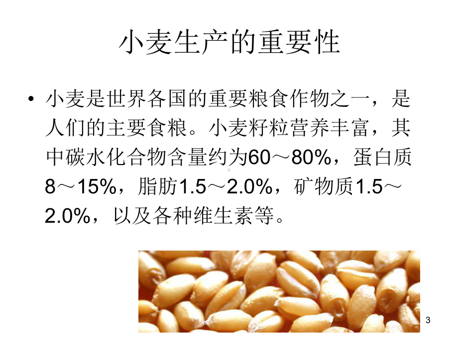 高教版农作物生产技术第二章第一节小麦的生长发育P课件.ppt_第3页