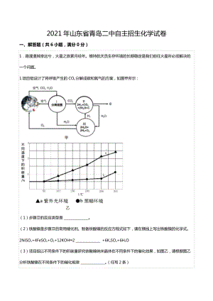 2021年山东省青岛二 自主招生化学试卷.docx