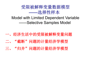 受限数据模型课件.ppt