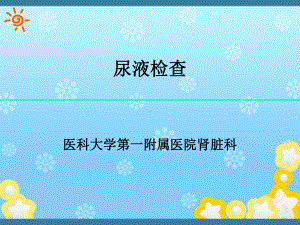 尿液检查课件.ppt