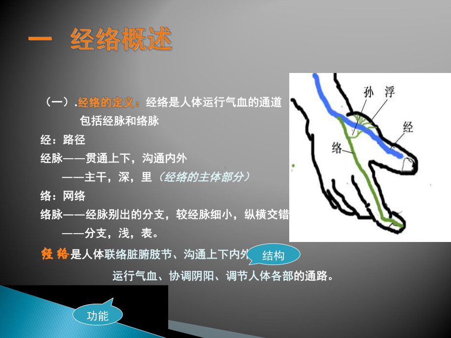 人体穴位培训资料课件.pptx_第2页