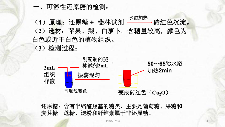 高中生物-检测生物组织中的糖类、脂肪和蛋白质pp课件.ppt_第3页