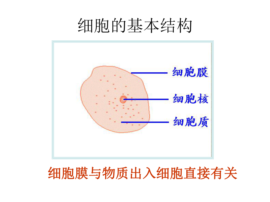 细胞膜的成分磷脂双分子层课件.ppt_第3页