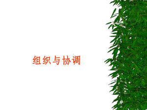 组织与协调课件.ppt