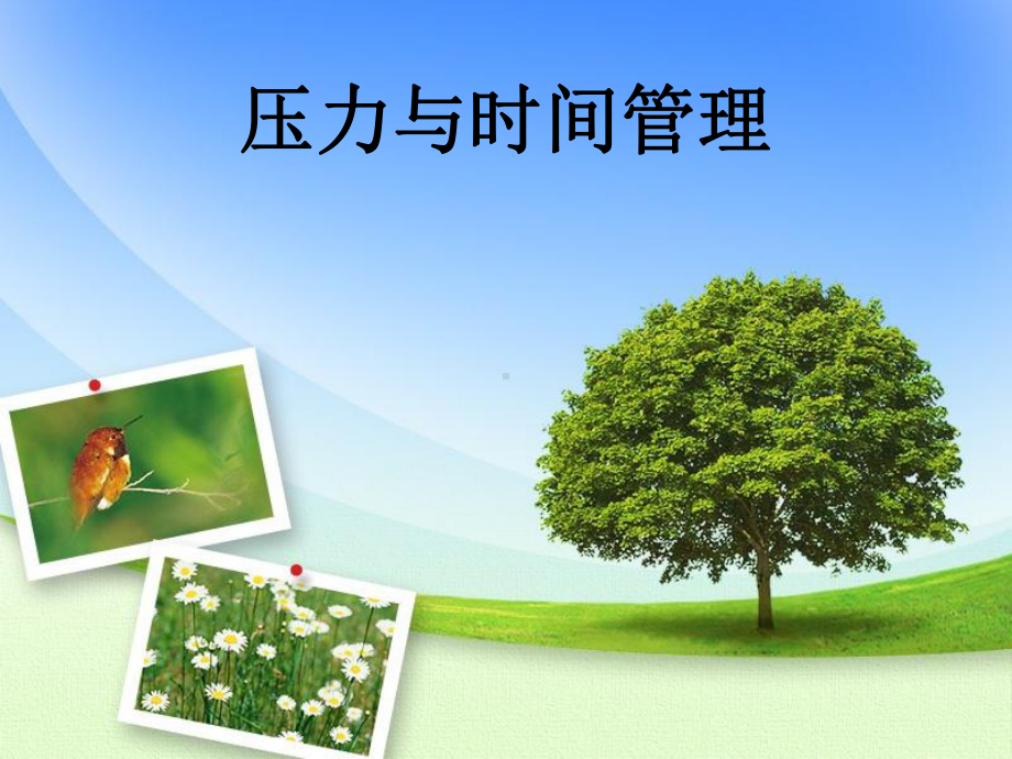 压力与时间管理.课件.ppt_第1页