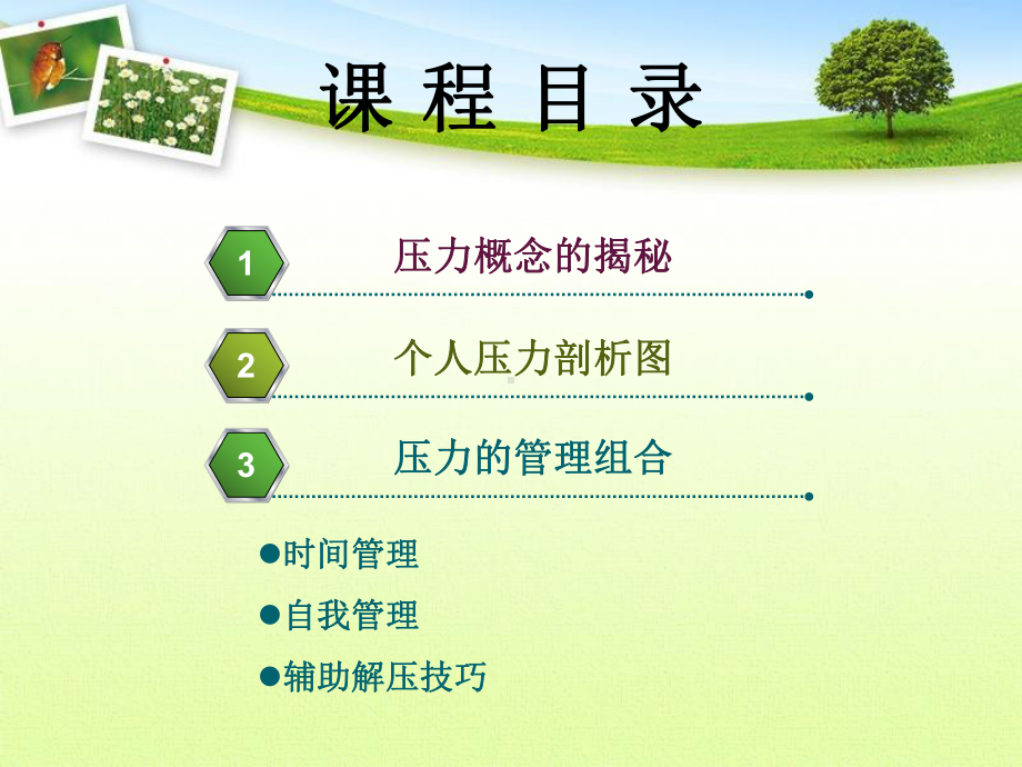 压力与时间管理.课件.ppt_第2页