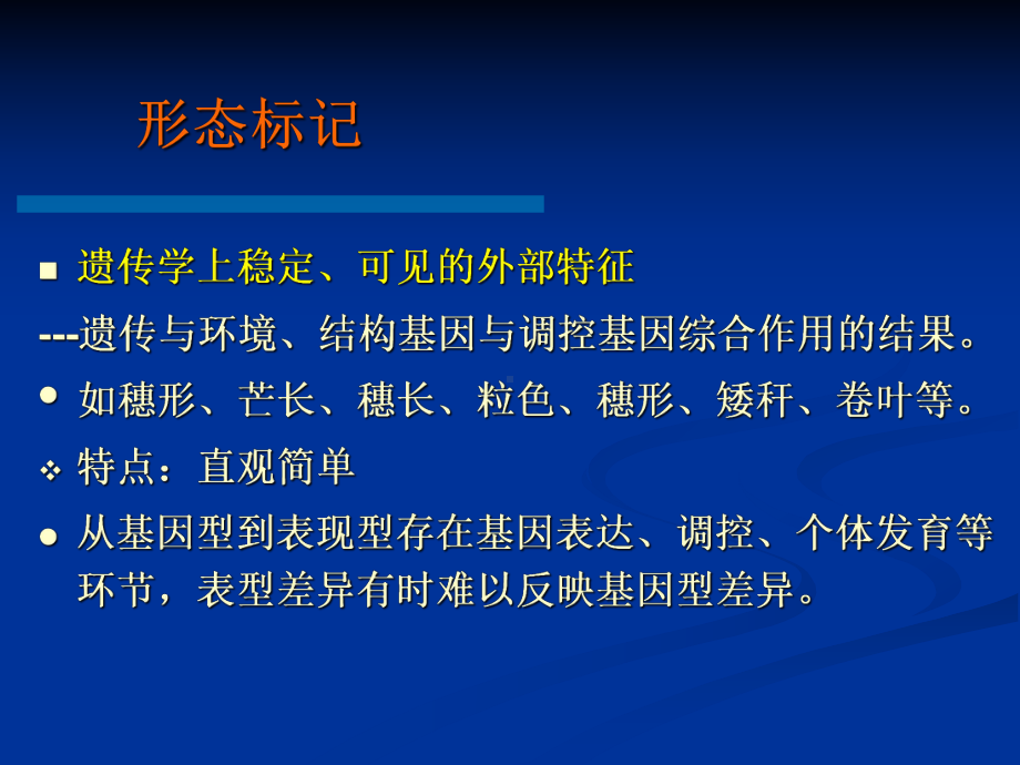 分子标记的分类课件.ppt_第3页