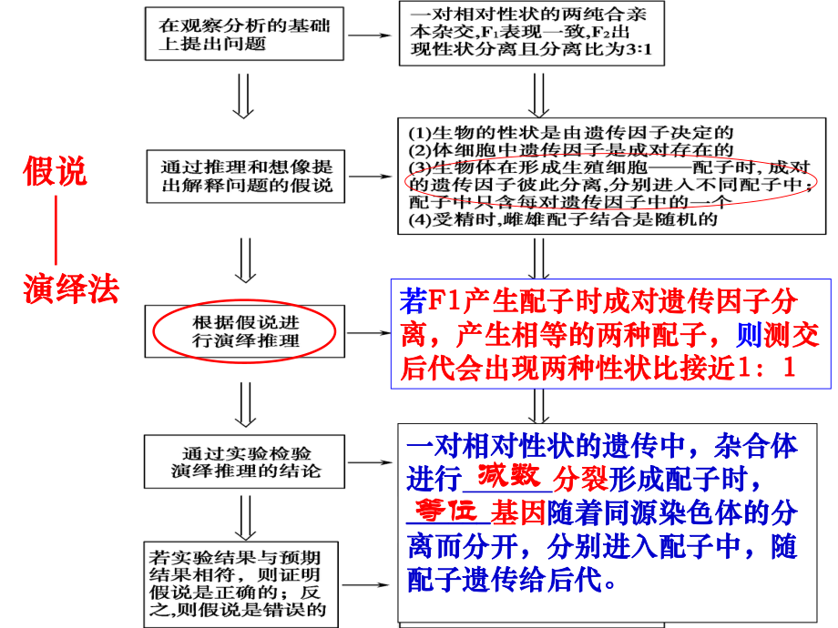 分离定律应用课件.ppt_第2页