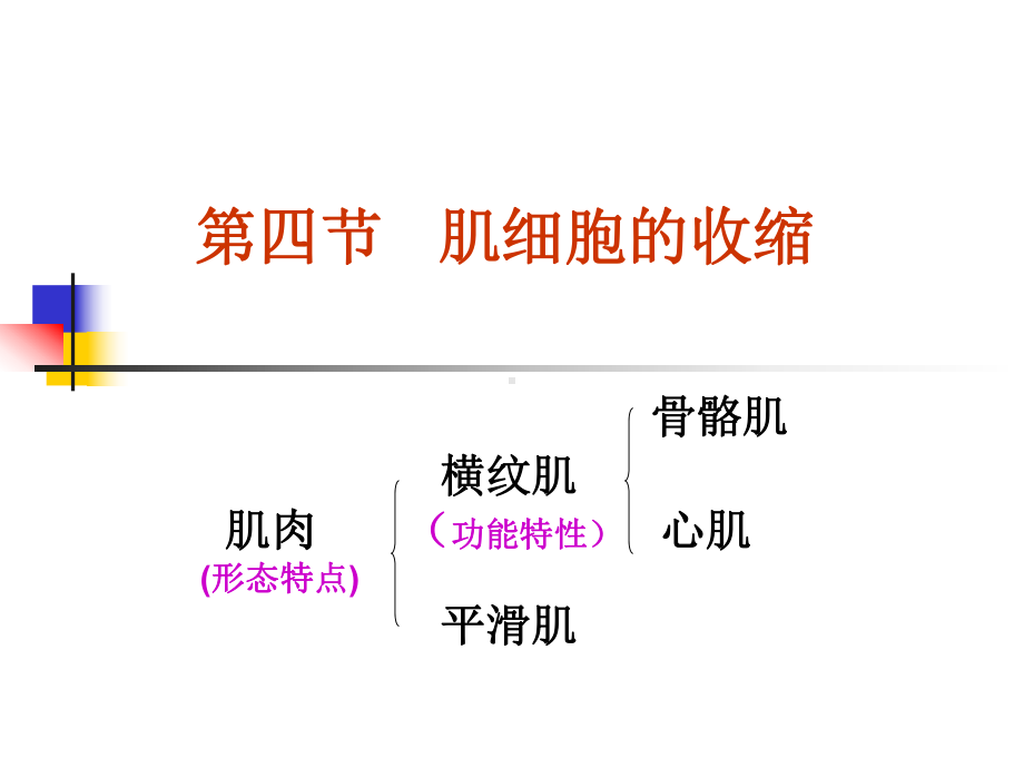 肌细胞的收缩课件.ppt_第2页