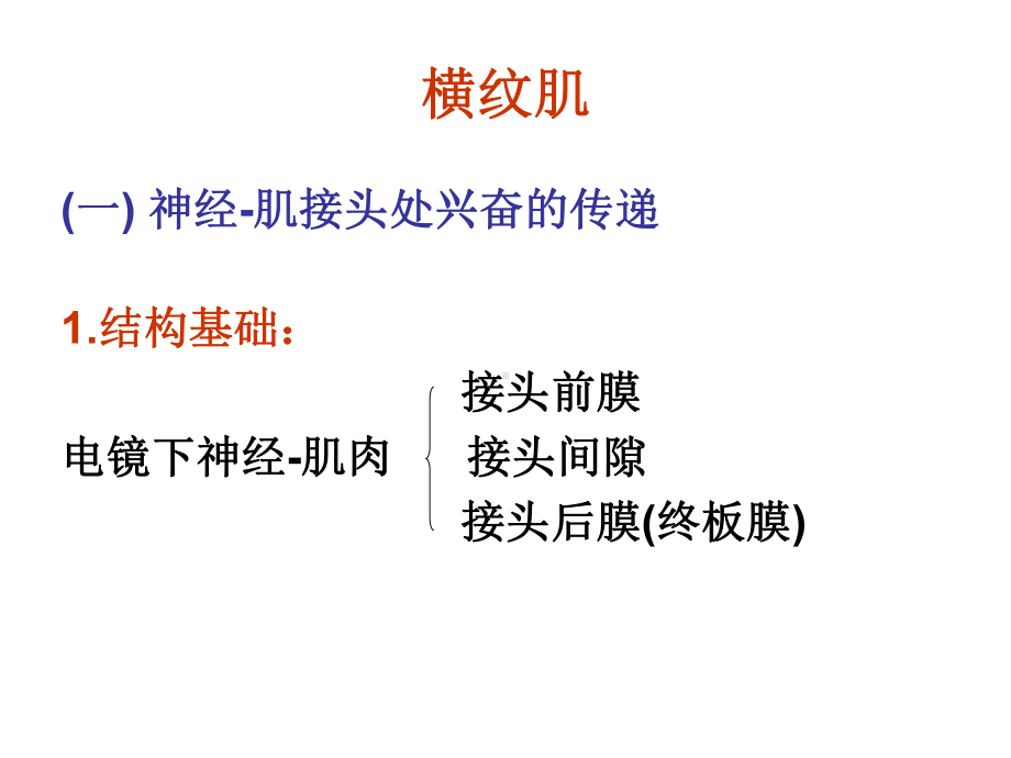 肌细胞的收缩课件.ppt_第3页