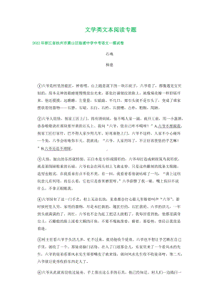 2022年浙江省杭州市中考语文模拟试卷汇编：文学类文本阅读专题.docx