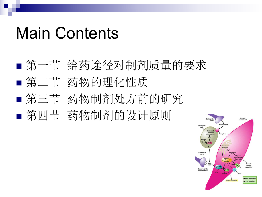 药物的吸收课件.ppt_第2页